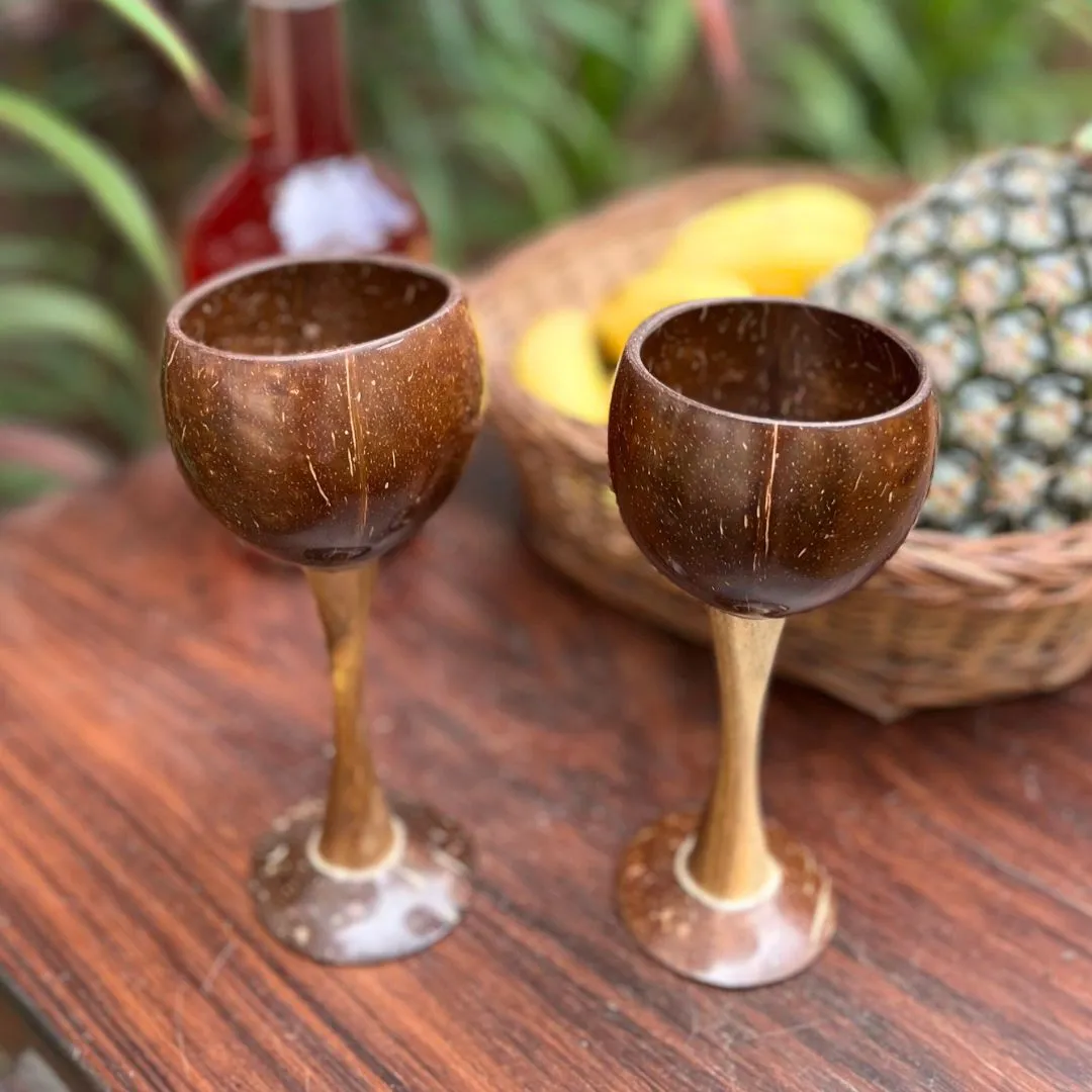 Coconut Shell & Wooden Wine Glasses | Red Wine Glasses (Set of 2)