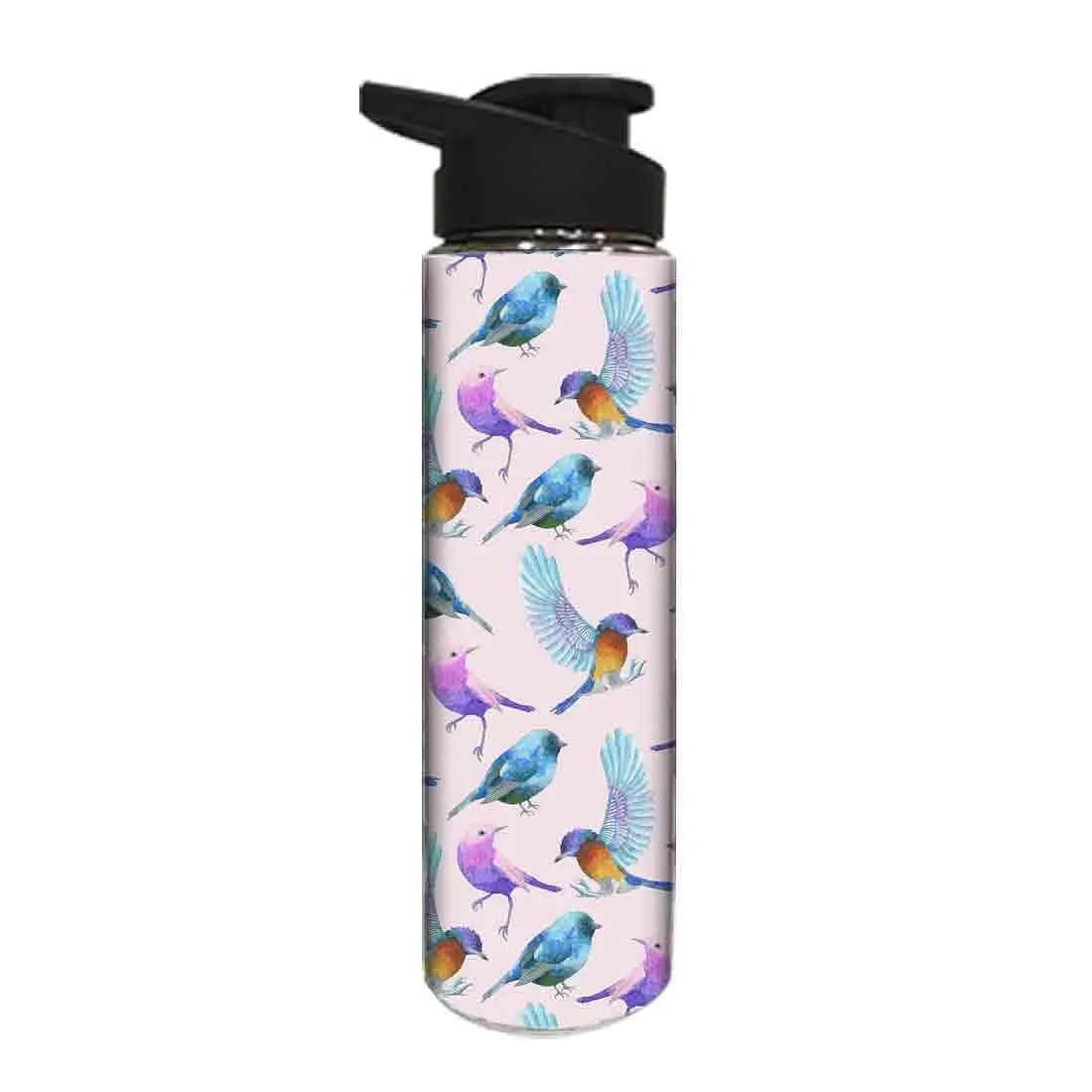 Designer Stainless Steel Sipper Bottle -  Watercolor Birds