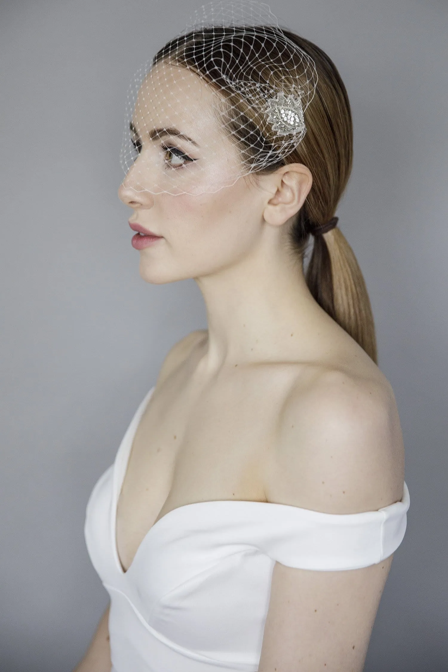 Diamante Lace Birdcage Veil