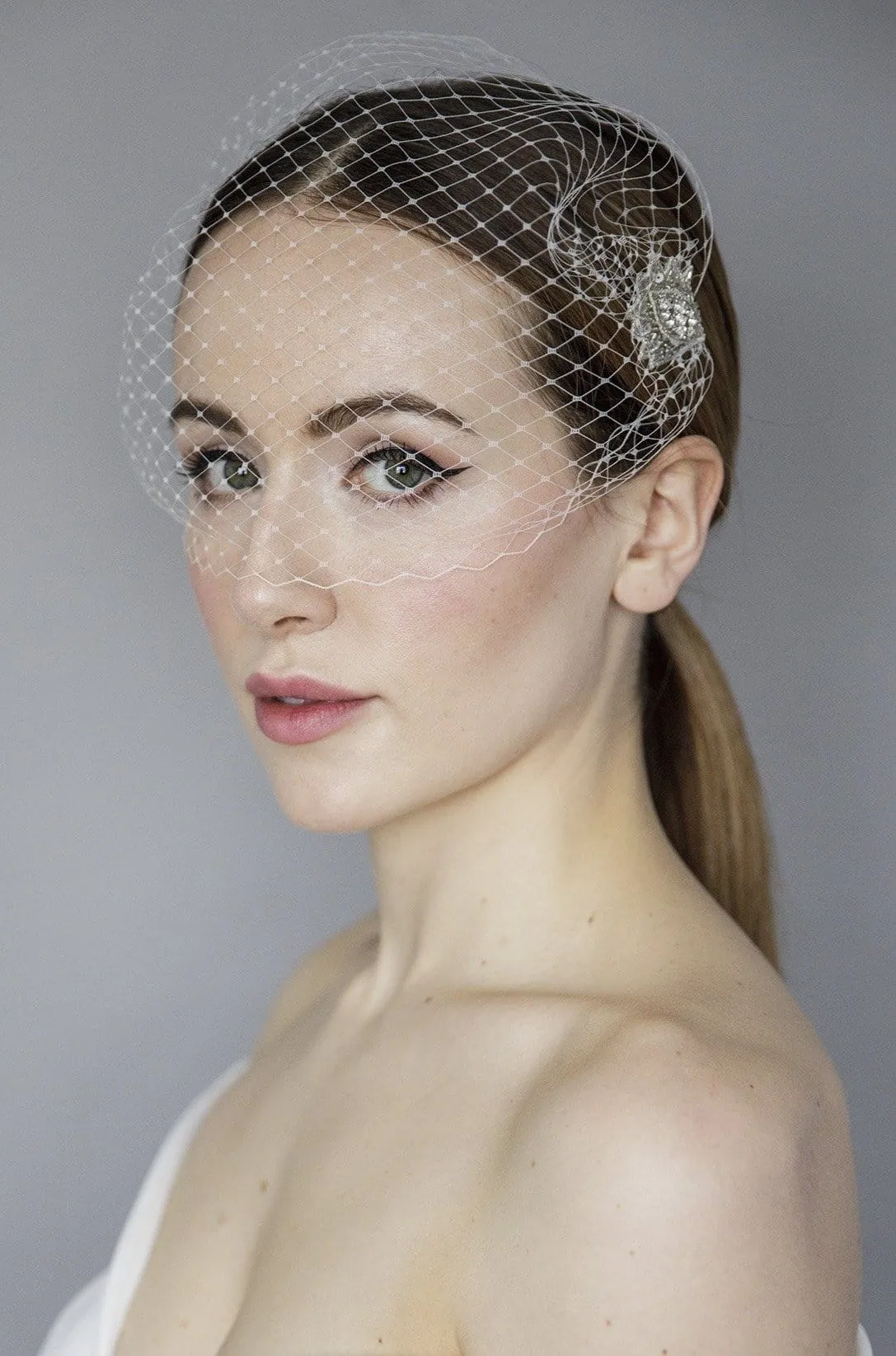 Diamante Lace Birdcage Veil