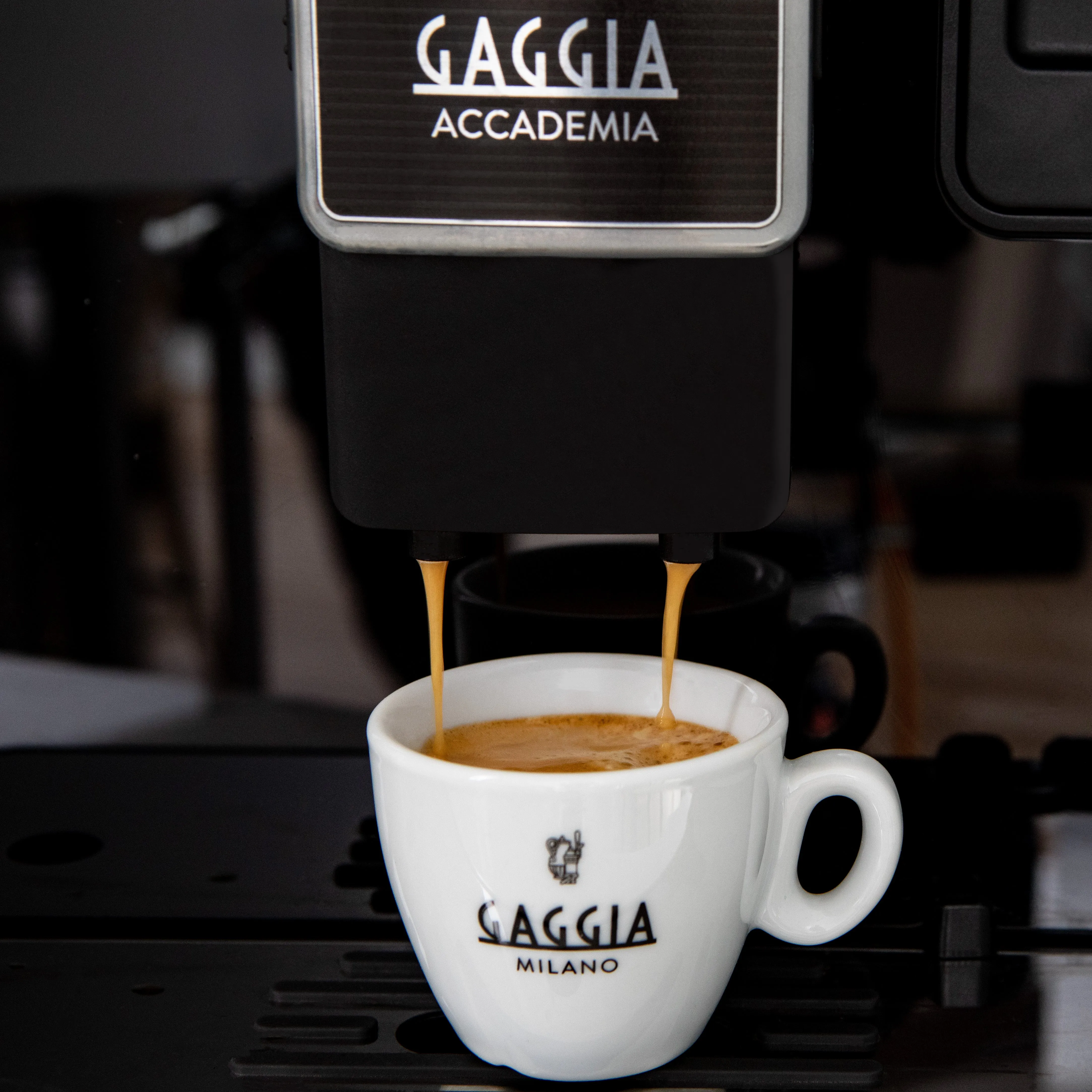 Gaggia Accademia