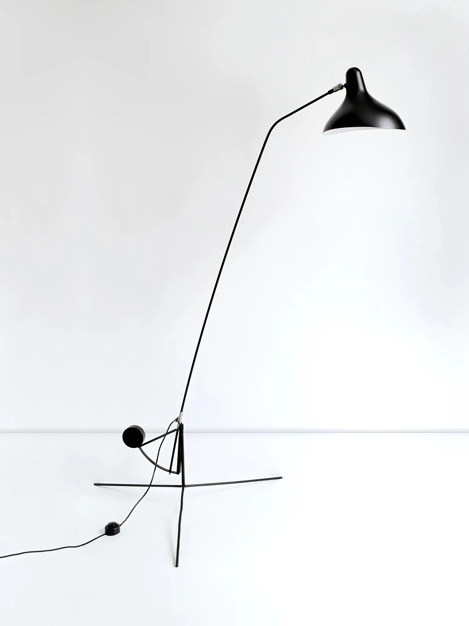 Mantis Arm Floor Lamp