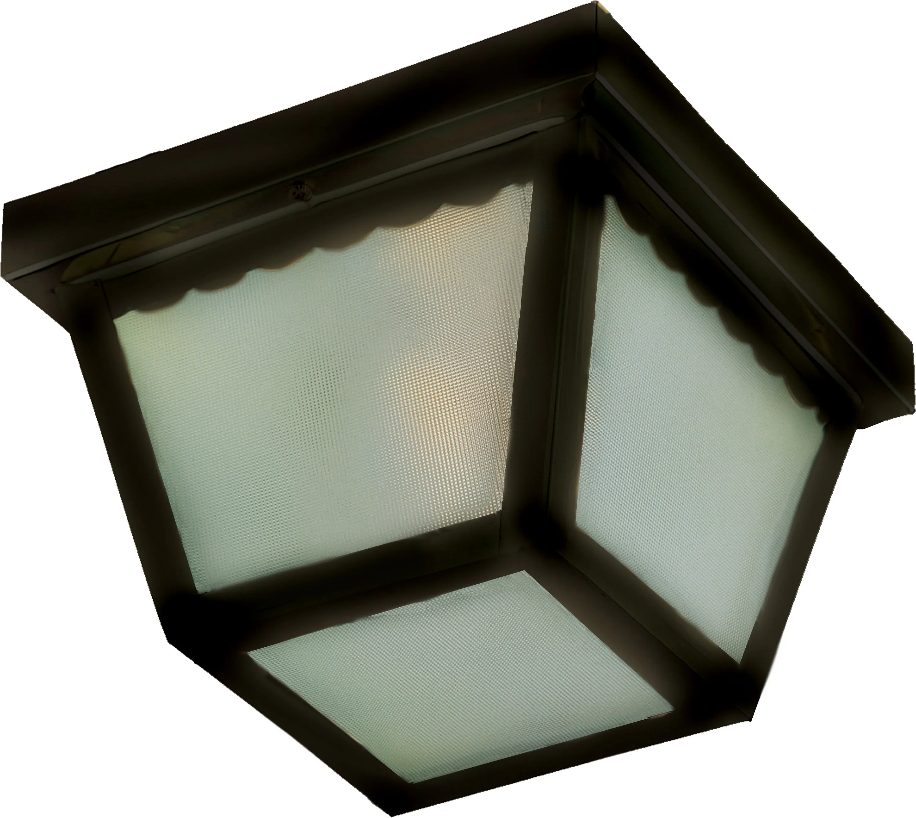 Outdoor Essentials 2-Light Outdoor Ceiling Mount