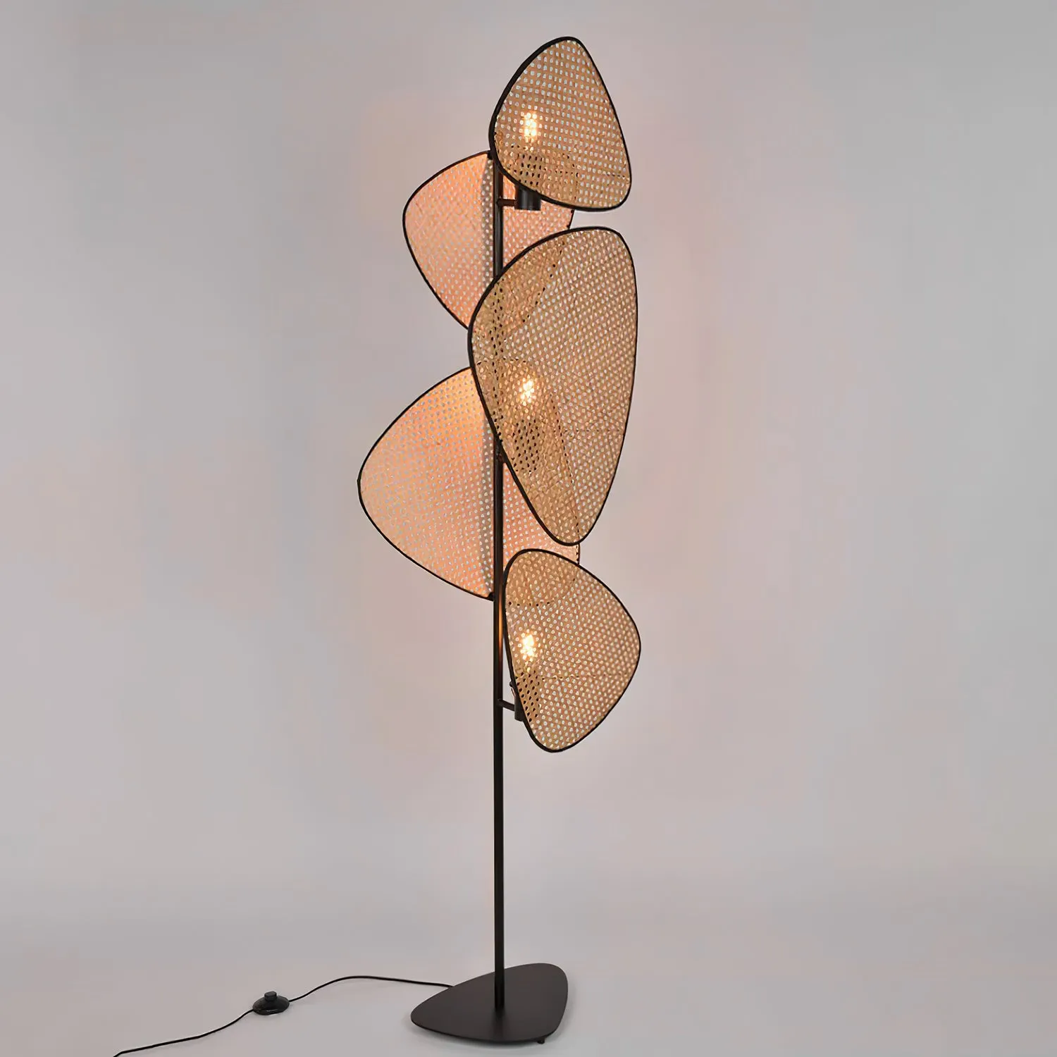 Screen Cannage Floor Lamp