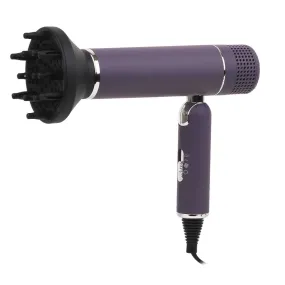 Sonic IQ Blow Dryer