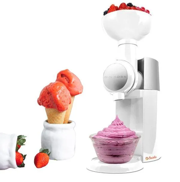 The Homemade Fruit Ice Cream Maker