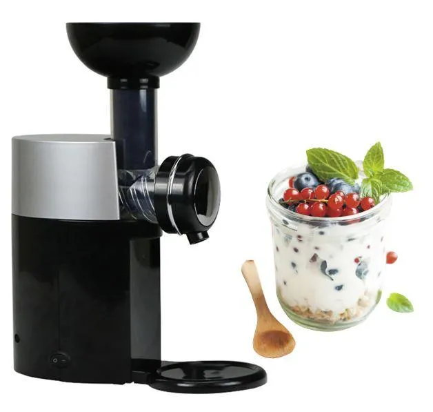 The Homemade Fruit Ice Cream Maker